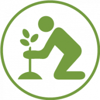 Planting Icon