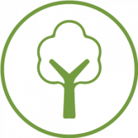 Tree Icon