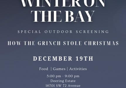 Winter on the Bay