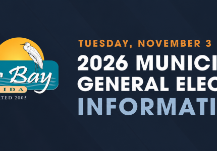 2026 General Election Information