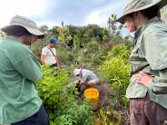 Cutler Bay Restoration Site