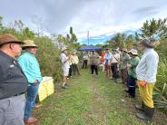 Cutler Bay Restoration Site