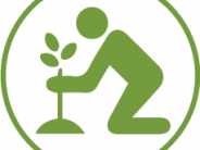 Icon Planting