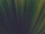 website background section 2