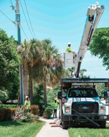 Photo of FPL crew trimming trees