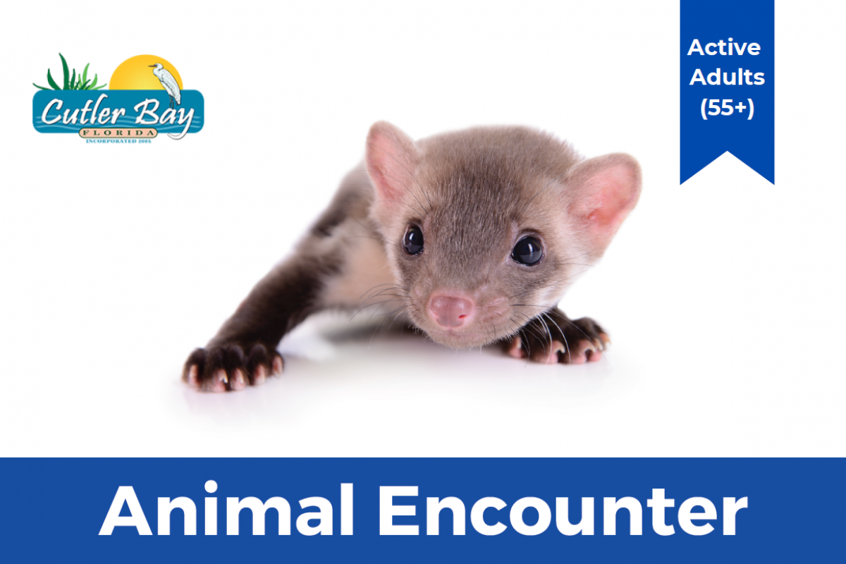 Animal Encounter Flyer