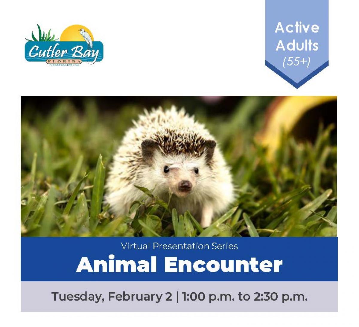 Active Adults Animal Encounter With Nature Postings Flyer