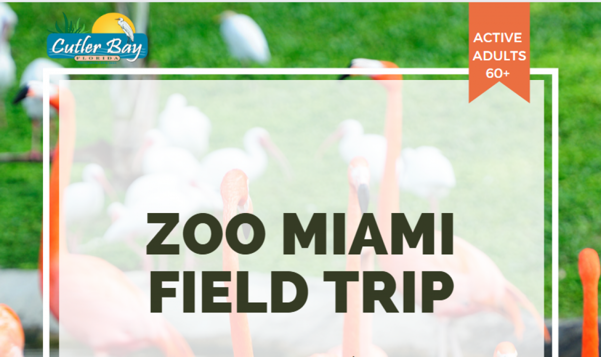 Active Adults Zoo Miami Field Trip flyer. 